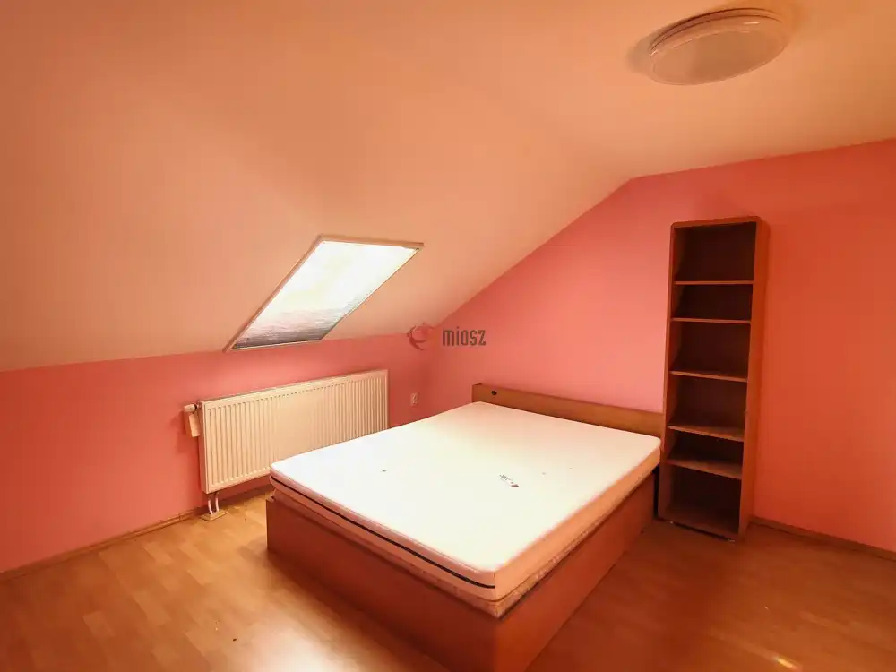 Csongrád megye - Szeged