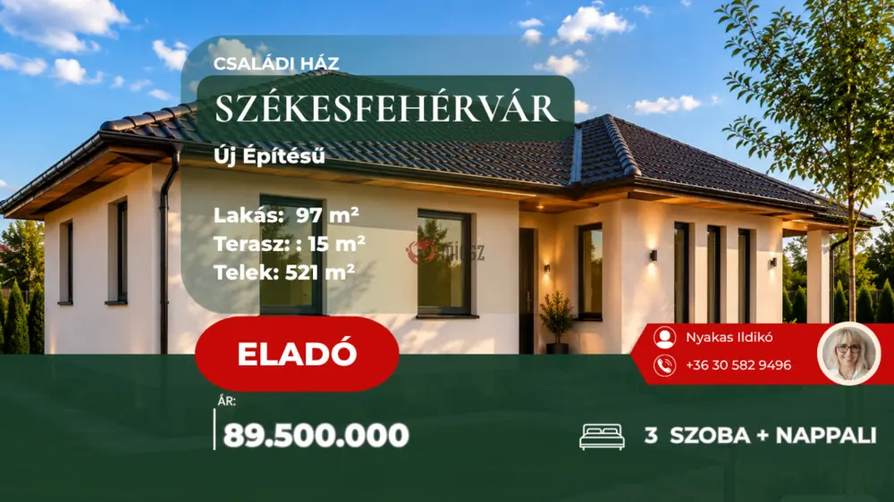 Fejér megye - Székesfehérvár