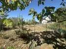Fejér megye - Székesfehérvár