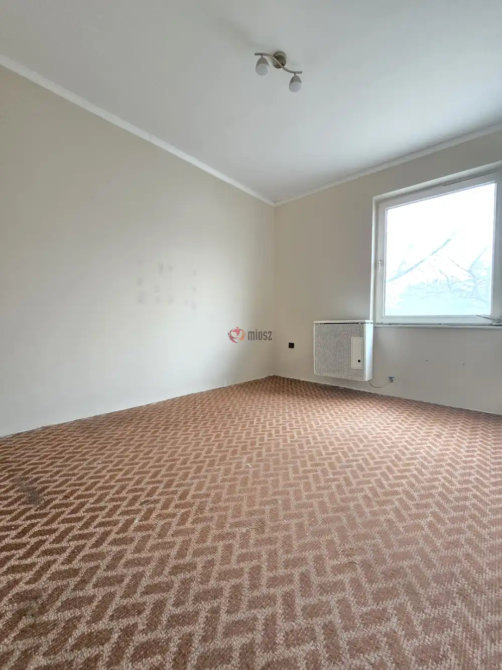 Fejér megye - Székesfehérvár