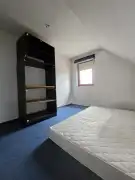 Fejér megye - Székesfehérvár