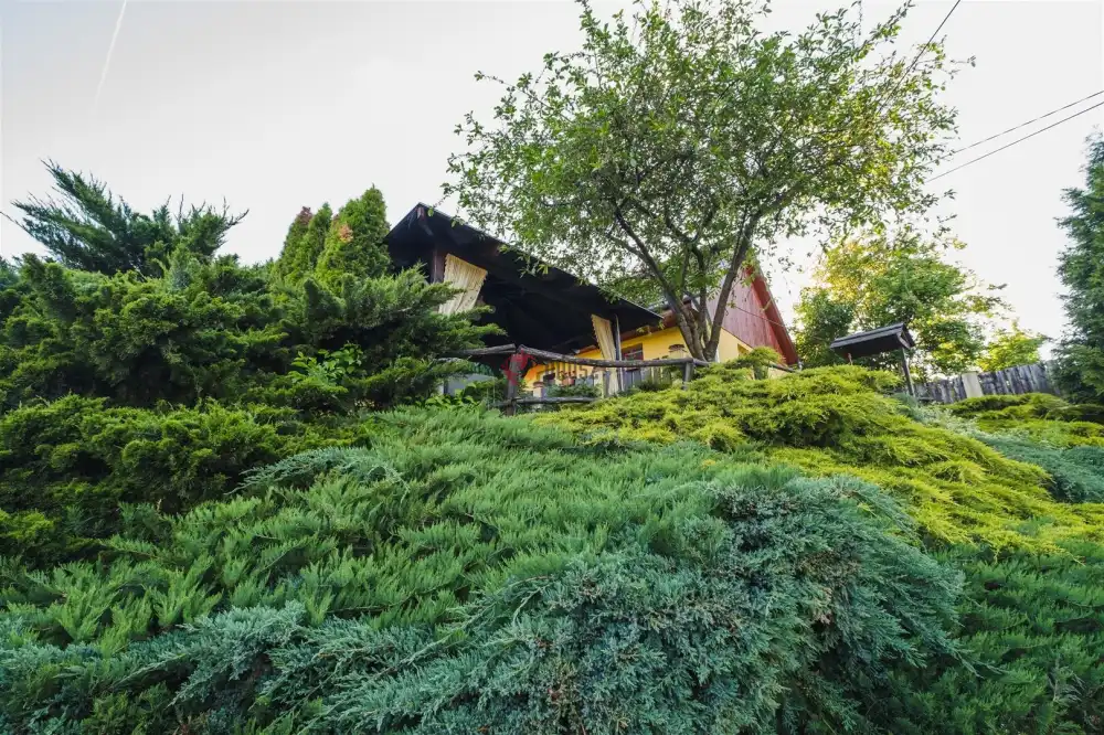 Nógrád megye - Szendehely