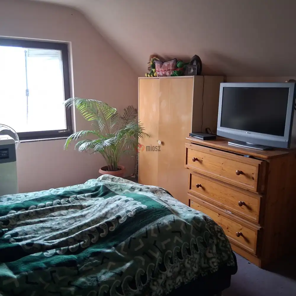 Csongrád megye - Szentes