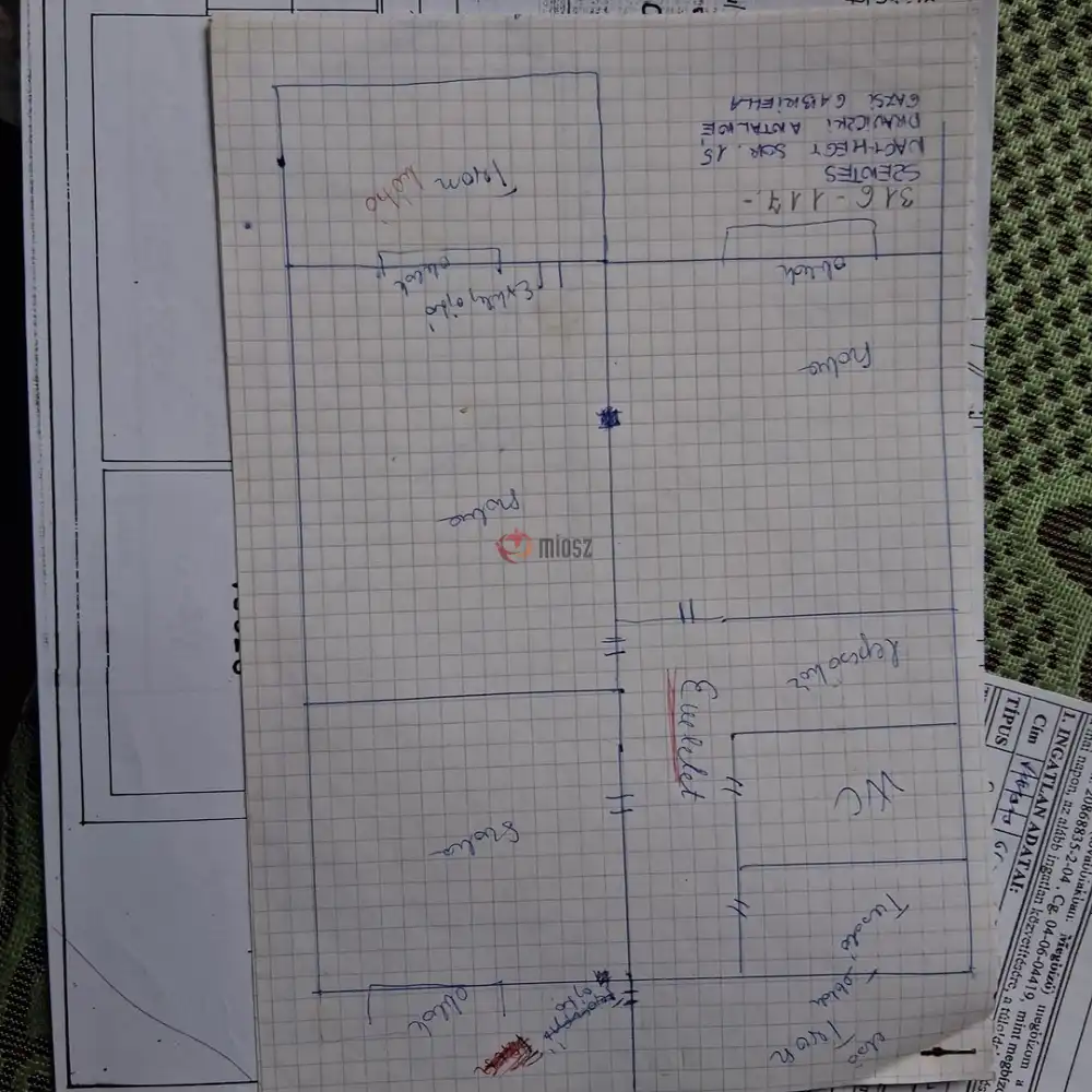 Csongrád megye - Szentes