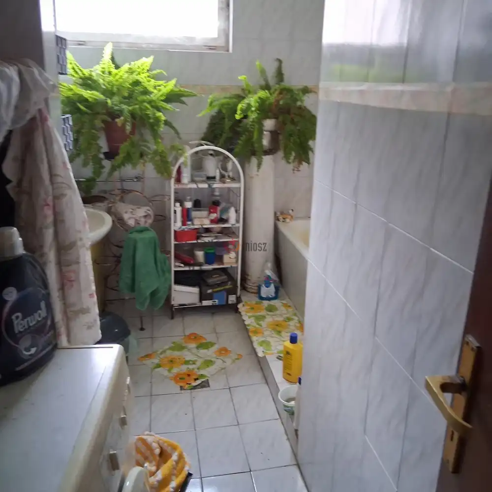 Csongrád megye - Szentes