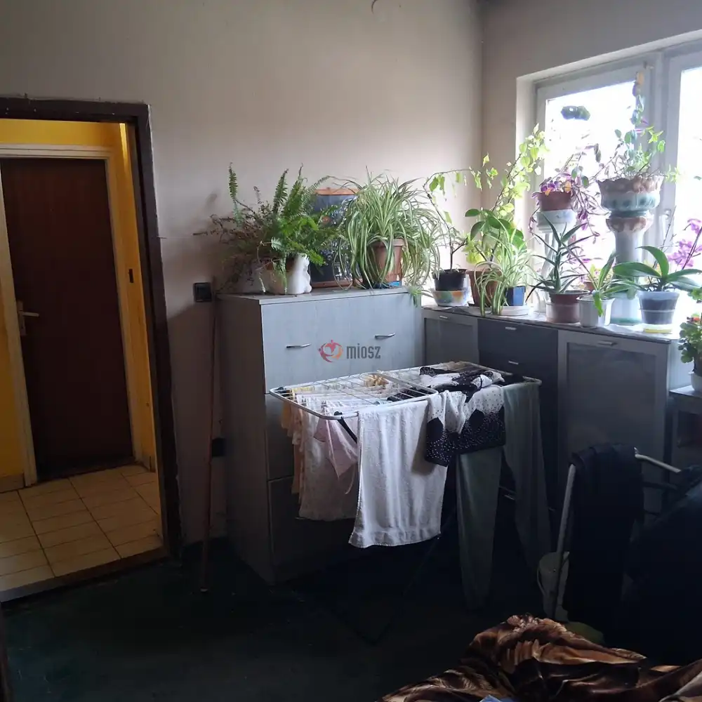 Csongrád megye - Szentes