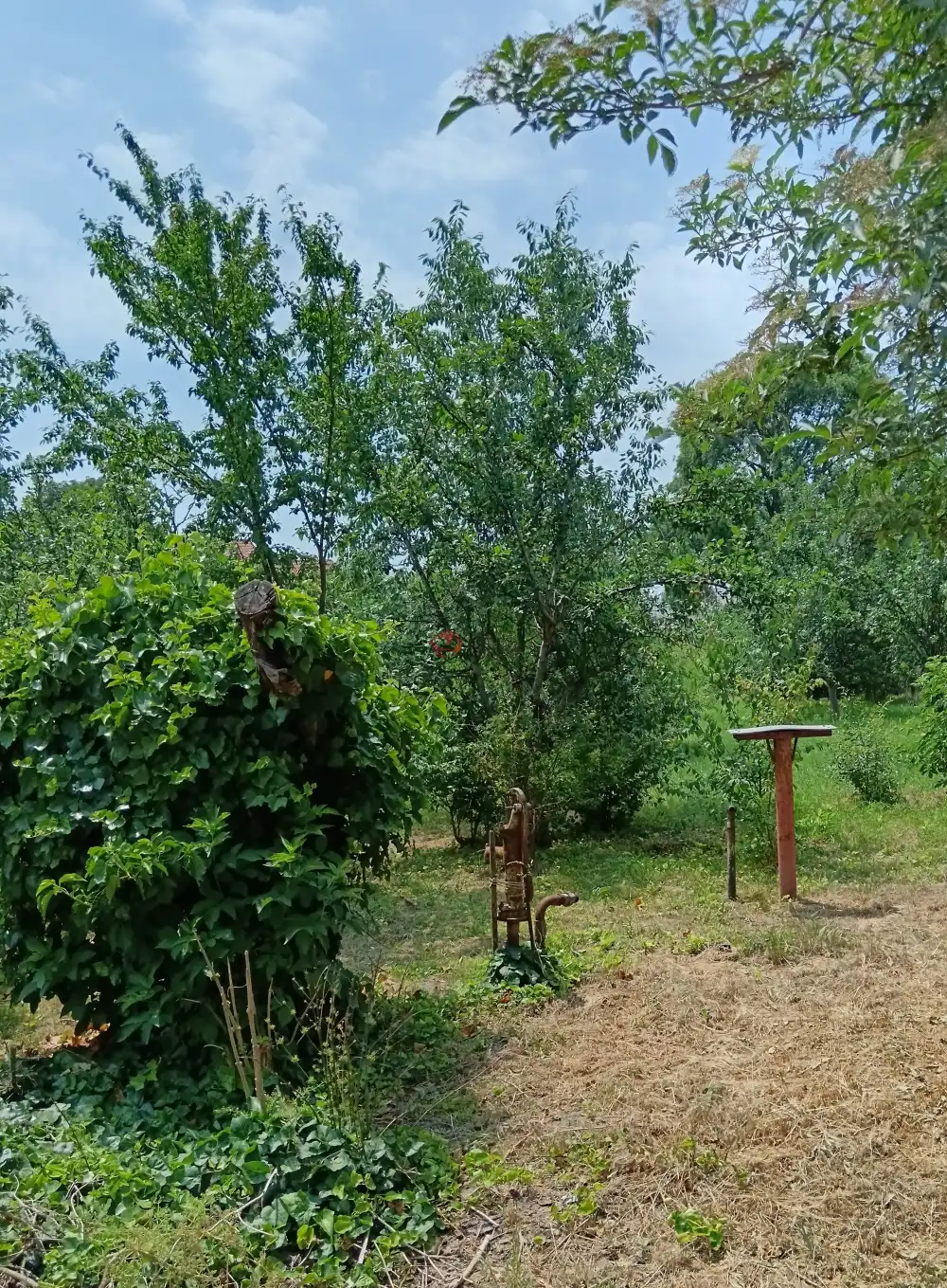 Pest megye - Szentlőrinckáta