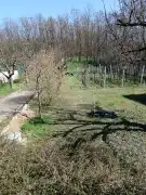 Pest megye - Szentmártonkáta
