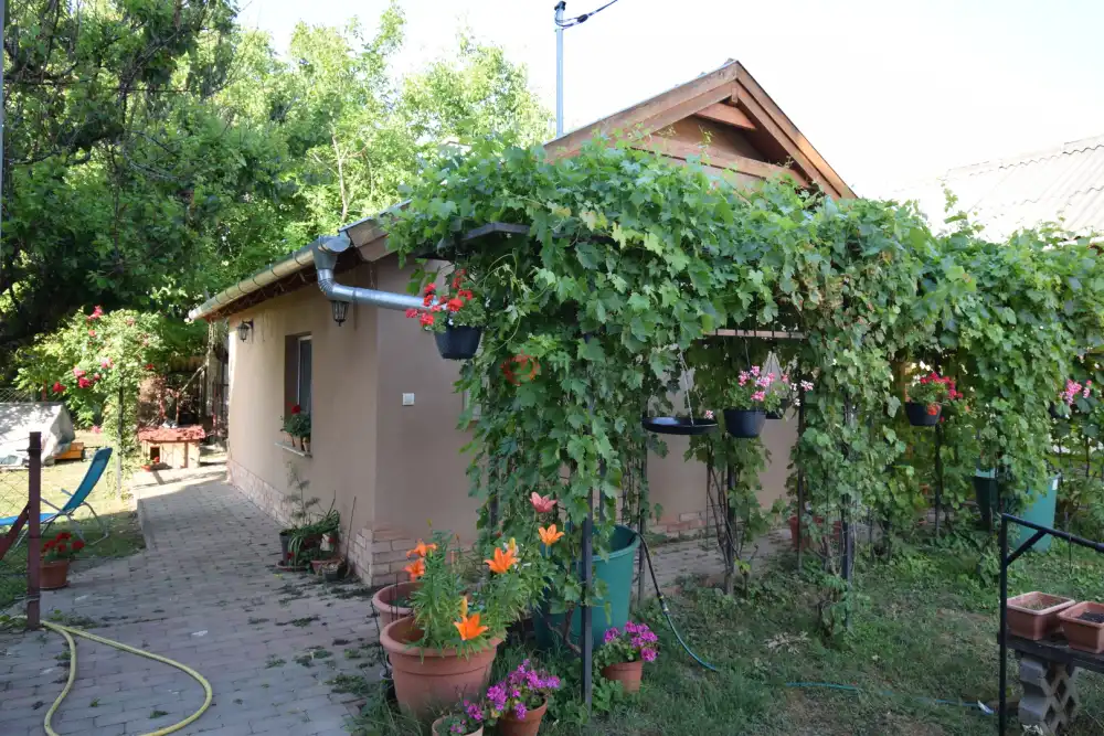 Pest megye - Szigethalom