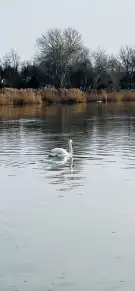 Pest megye - Szigethalom