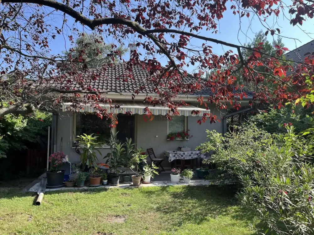 Pest megye - Szigetszentmiklós