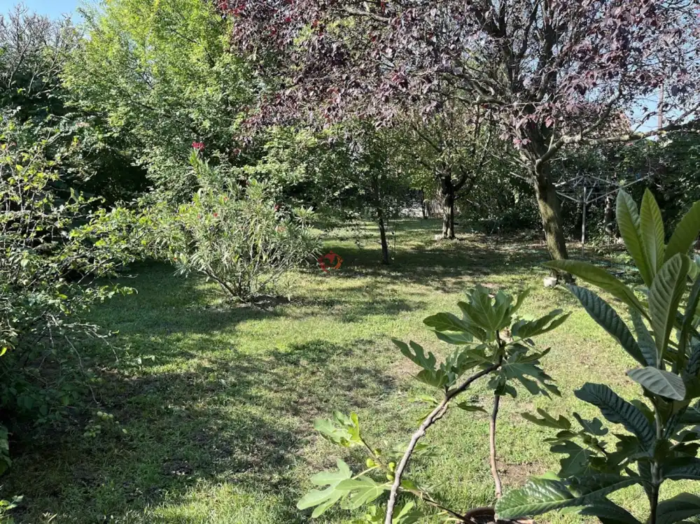 Pest megye - Szigetszentmiklós