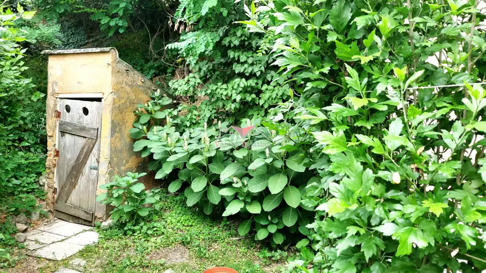 Pest megye - Szob