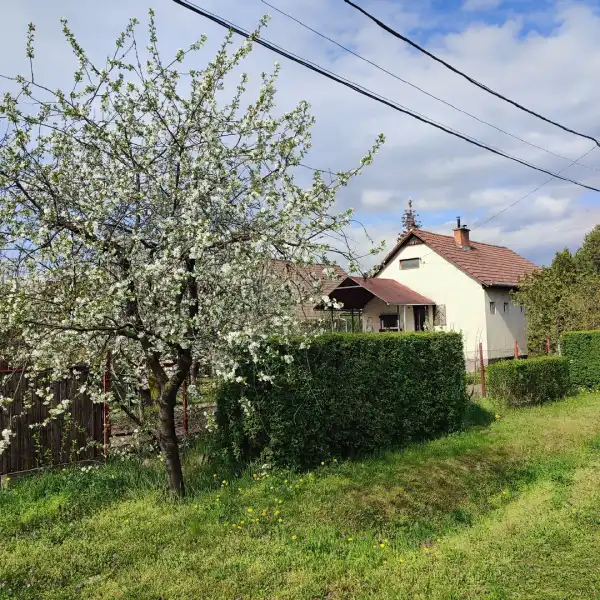 Eladó családi ház, Sződ 3 szoba 100 m² 79.5 M Ft