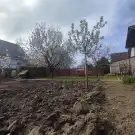 Pest megye - Sződ