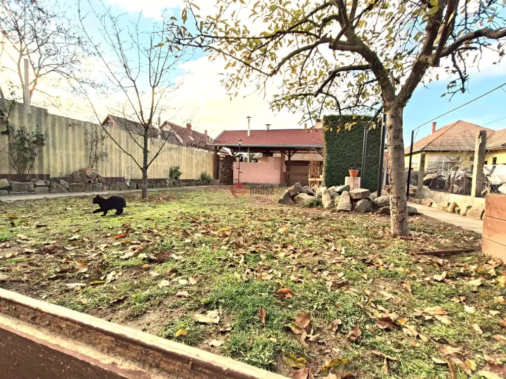 Pest megye - Sződ