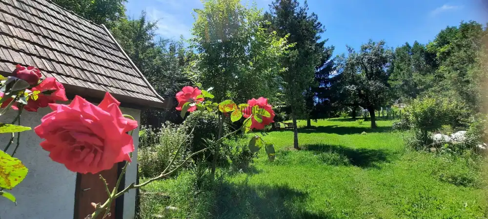 Pest megye - Szokolya