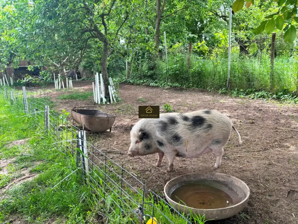 Pest megye - Szokolya