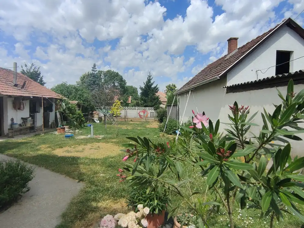 Csongrád megye - Tápé
