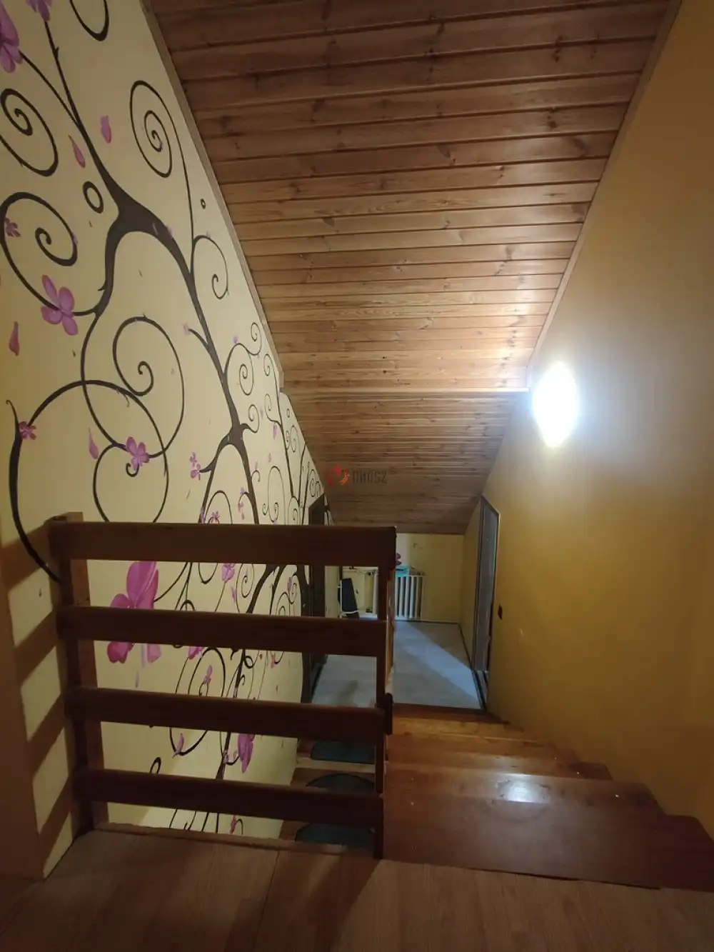 Csongrád megye - Tápé