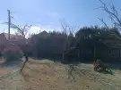 Pest megye - Tápiószecső