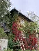 Veszprém megye - Tapolca