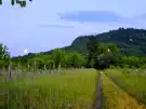 Veszprém megye - Tapolca