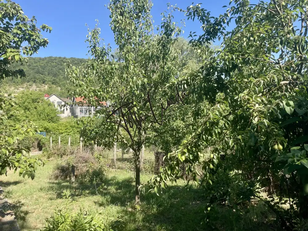 Komárom-Esztergom megye - Tatabánya
