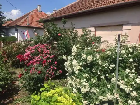 eladó családi ház, Telekgerendás