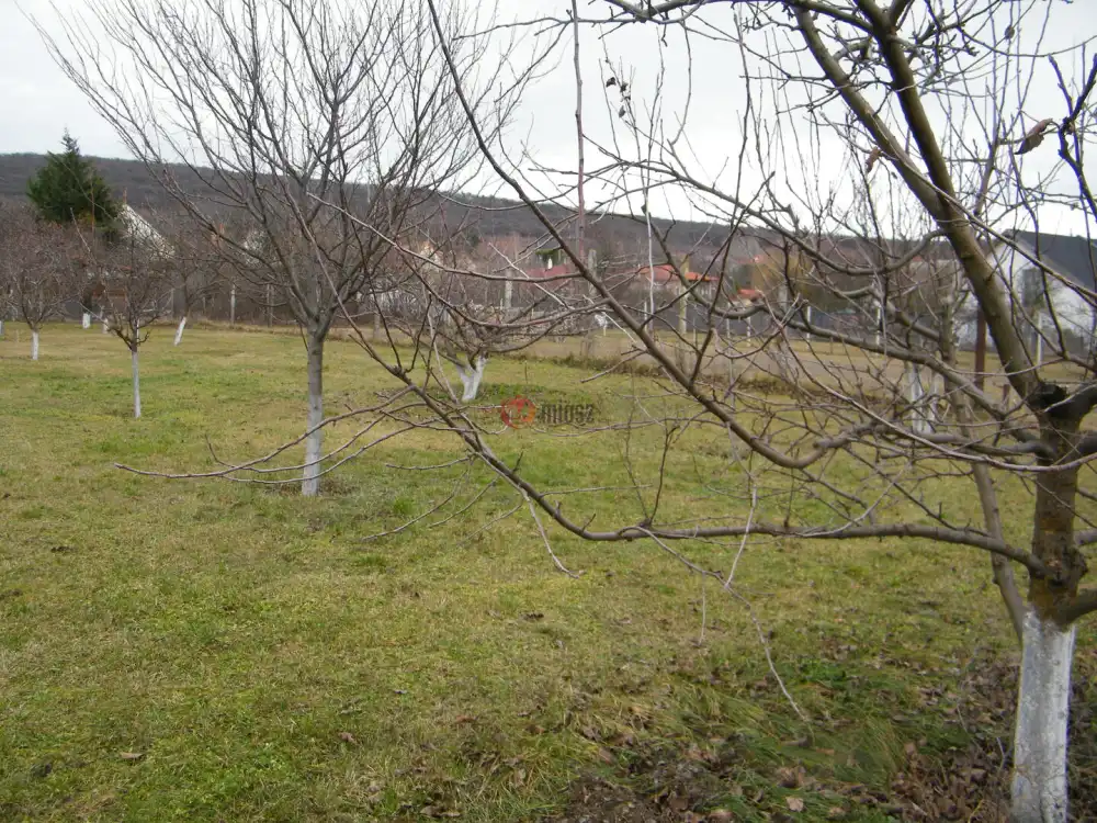 Pest megye - Telki