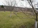 Pest megye - Telki