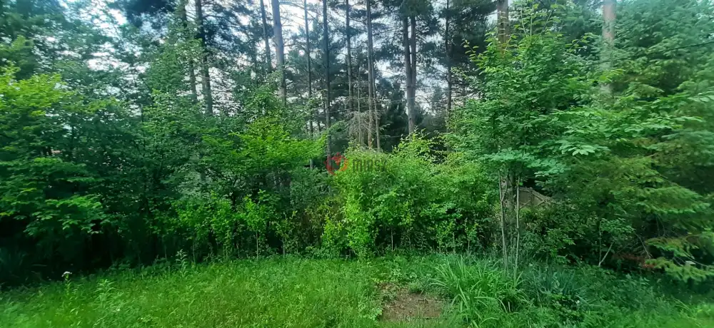 Borsod-Abaúj-Zemplén megye - Telkibánya