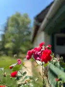 Nógrád megye - Tereske