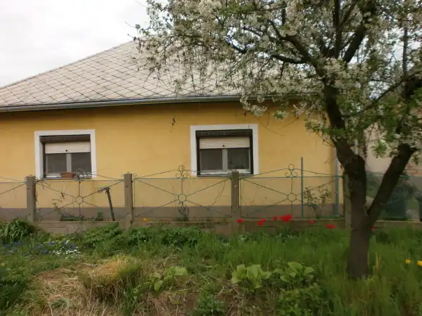 Eladó családi ház, Tiszafüred 5+1 szoba 163 m² 49 M Ft