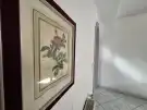 Jász-Nagykun-Szolnok megye - Tiszafüred