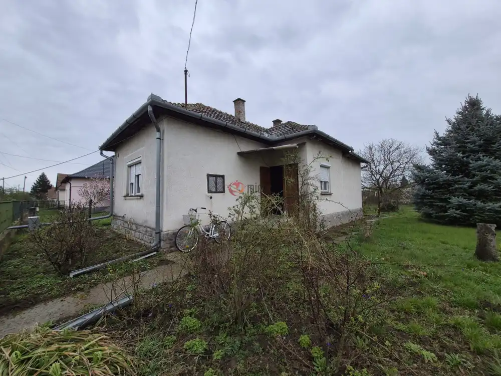 Jász-Nagykun-Szolnok megye - Tiszaszőlős