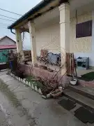Pest megye - Tóalmás