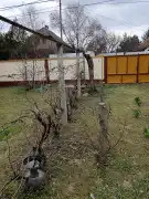 Pest megye - Tóalmás