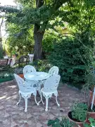 Pest megye - Tóalmás