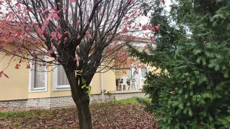 eladó családi ház, Tök