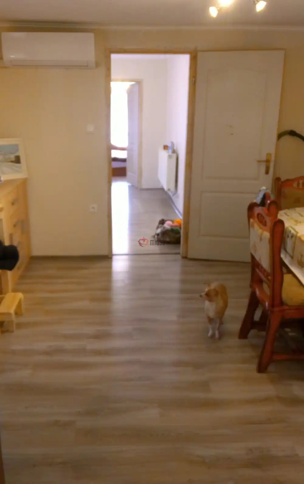 Pest megye - Törtel