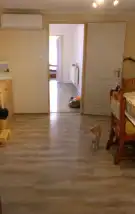 Pest megye - Törtel