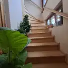 Fejér megye - Újbarok