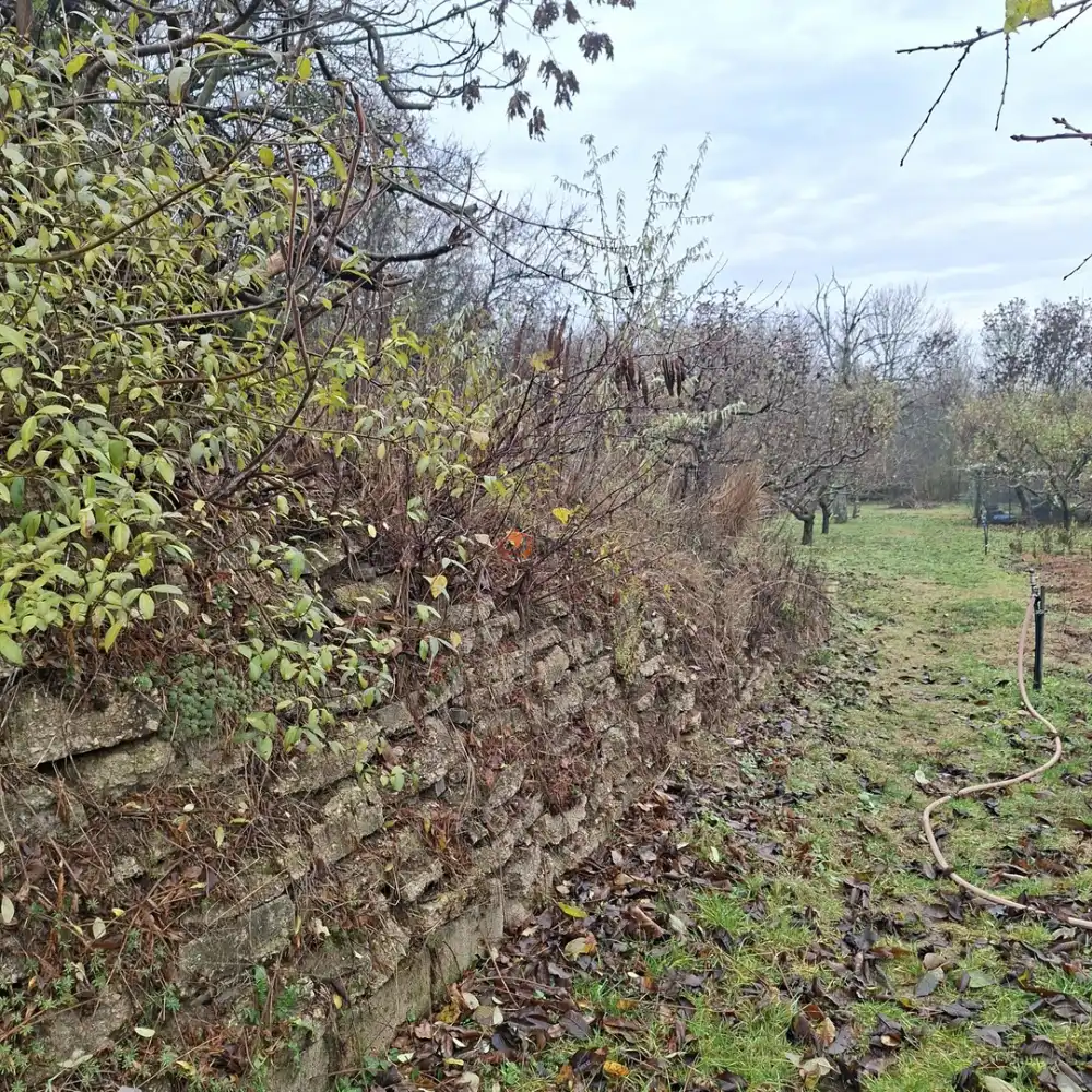 Fejér megye - Újbarok