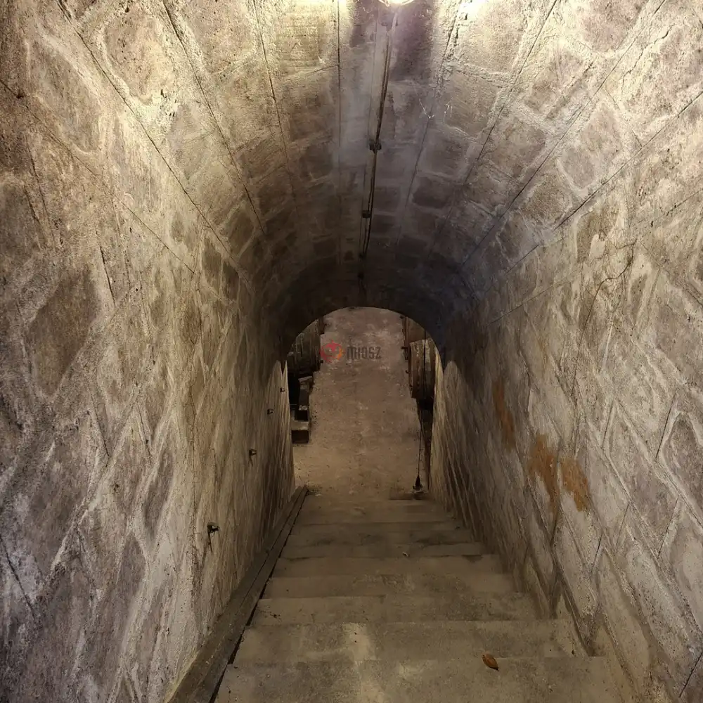 Fejér megye - Újbarok