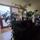 Fejér megye - Újbarok