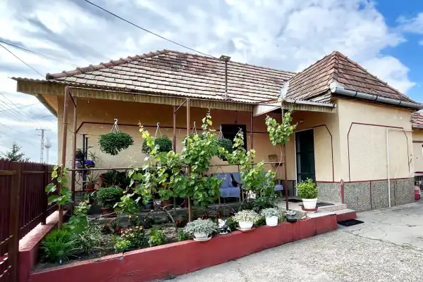 Eladó családi ház, Újhartyán 3 szoba 65 m² 41.99 M Ft