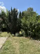 Pest megye - Vác