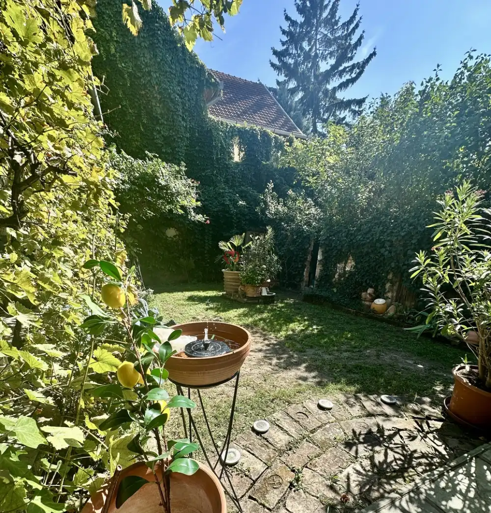 Pest megye - Vác