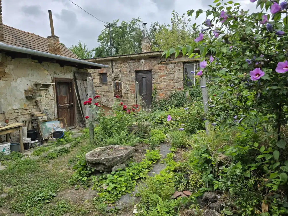 Pest megye - Vác